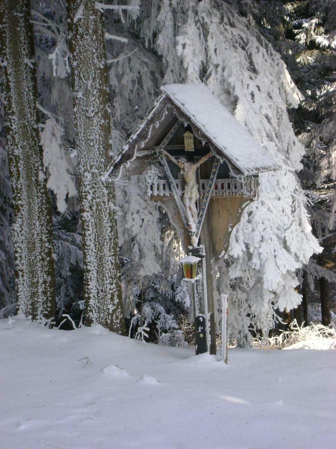 Haus Voellegg Apartment Стая снимка
